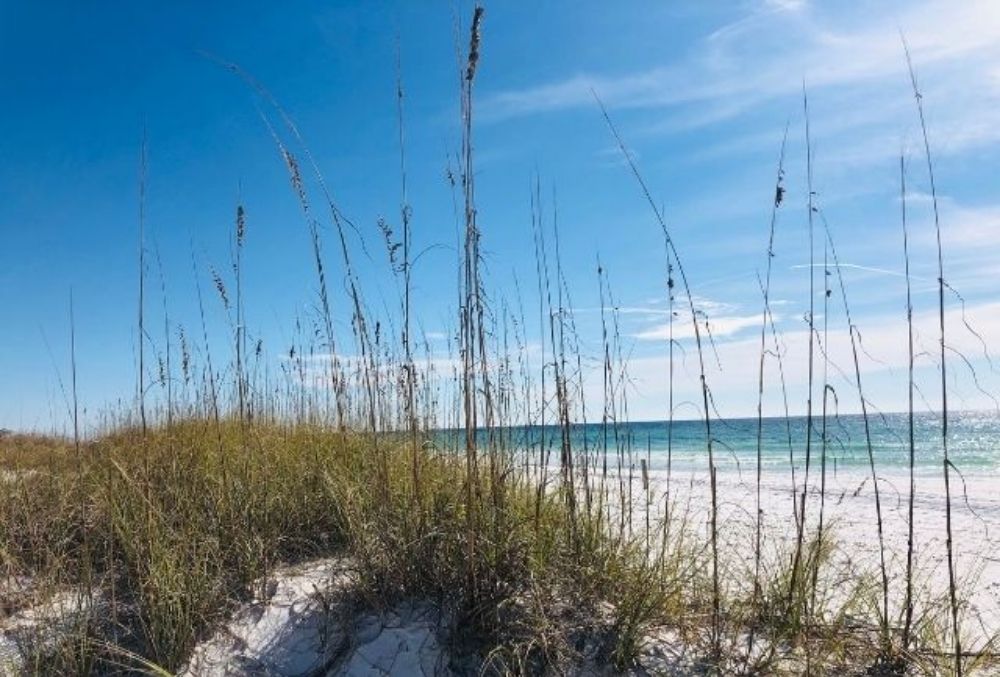 sand dunes at a state park in Destin-FWB